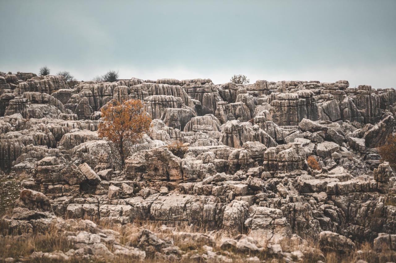 Готель Odom Retreat Mzaar Kfardebian Екстер'єр фото